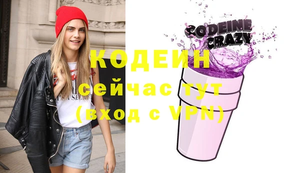 крисы Бородино