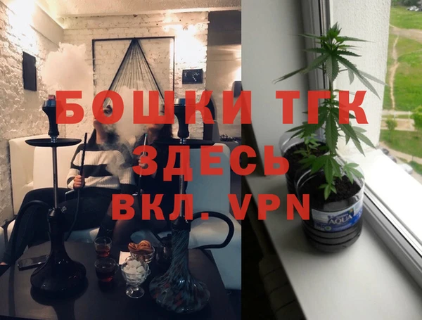 прущие грибы Богородск