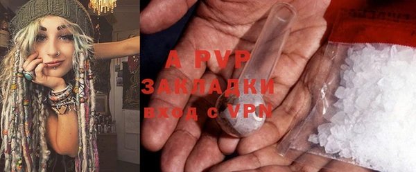 крисы Бородино