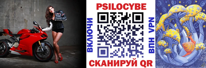Галлюциногенные грибы GOLDEN TEACHER  Избербаш 